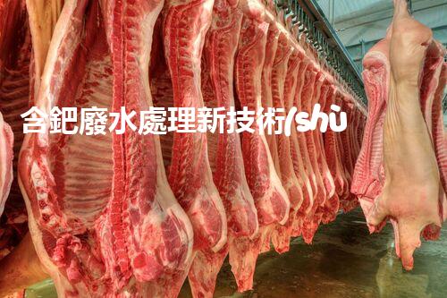 含鈀廢水處理新技術(shù)：揭秘巴洛仕的環(huán)保創(chuàng)新！